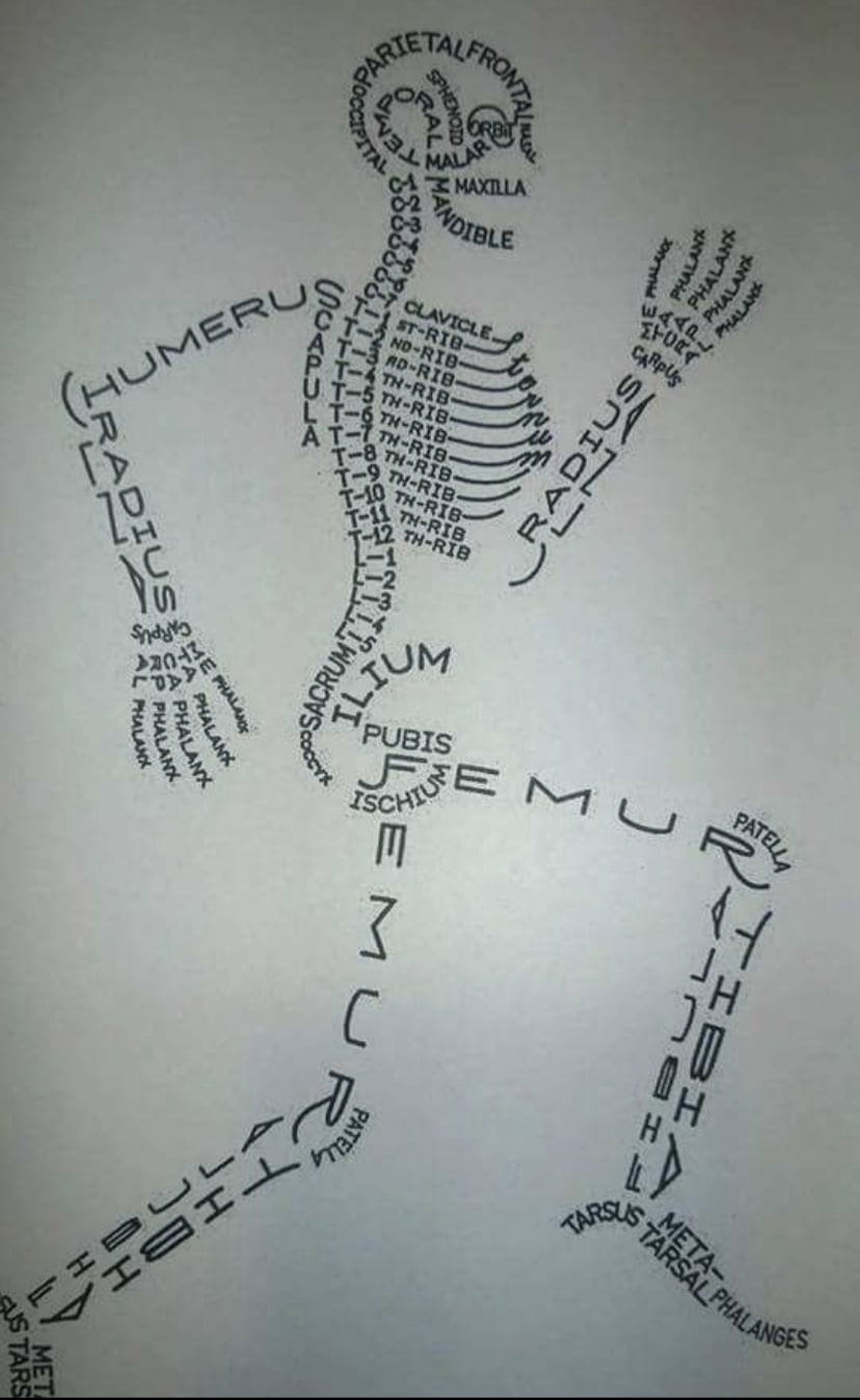 Kinesiology VS KINESIOLOGIST PART ONE